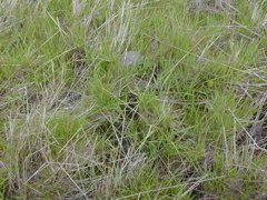 DSCN1849.JPG