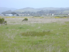 DSCN1728.JPG