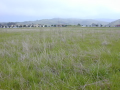 DSCN1868.JPG