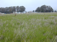 DSCN1869.JPG