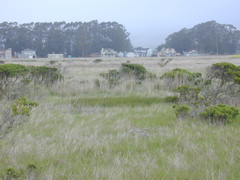 DSCN1729.JPG
