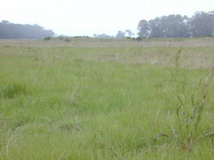DSCN1875.JPG