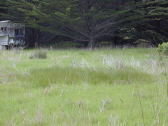 DSCN1730.JPG