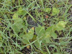 DSCN1881.JPG