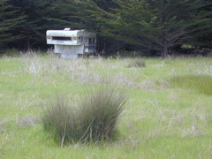 DSCN1731.JPG