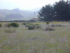 DSCN1732.JPG