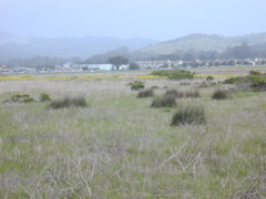 DSCN1733.JPG