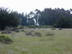 DSCN1741.JPG