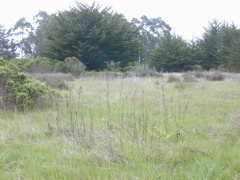 DSCN1743.JPG
