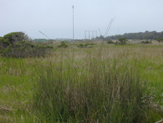 DSCN1744.JPG
