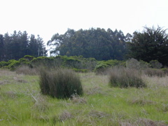 DSCN1745.JPG