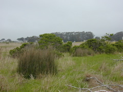 DSCN1746.JPG