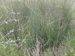 DSCN1749.JPG