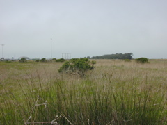 DSCN1750.JPG