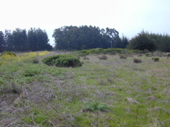 DSCN1751.JPG