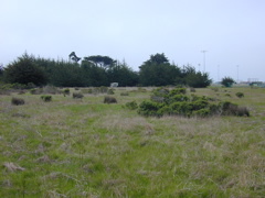 DSCN1752.JPG