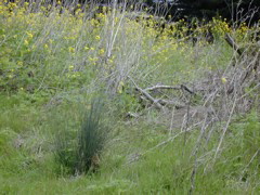 DSCN1716.JPG