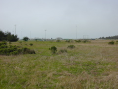 DSCN1753.JPG
