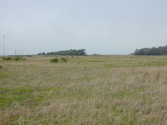 DSCN1754.JPG
