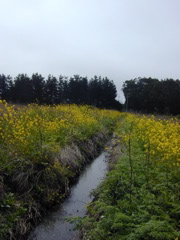 DSCN1755.JPG