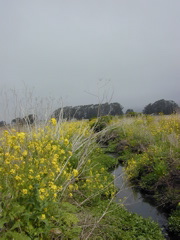 DSCN1756.JPG