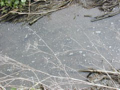 DSCN1757.JPG