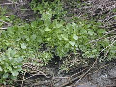 DSCN1758.JPG