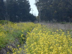 DSCN1759.JPG