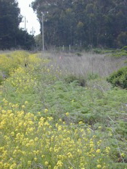DSCN1760.JPG
