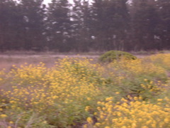 DSCN1761.JPG