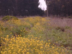 DSCN1762.JPG