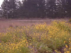 DSCN1763.JPG