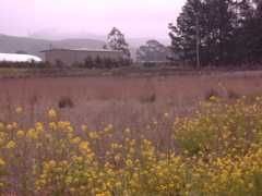 DSCN1764.JPG