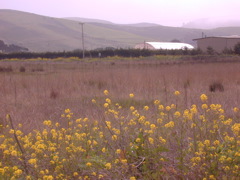 DSCN1765.JPG