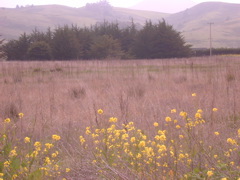 DSCN1767.JPG