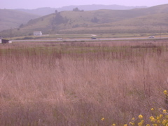 DSCN1769.JPG