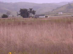 DSCN1770.JPG