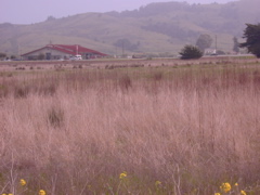 DSCN1771.JPG