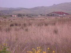 DSCN1772.JPG