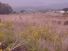 DSCN1775.JPG