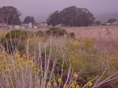 DSCN1776.JPG