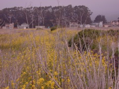 DSCN1777.JPG