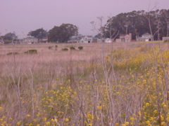 DSCN1778.JPG