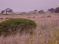 DSCN1779.JPG