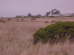 DSCN1780.JPG