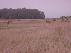 DSCN1781.JPG
