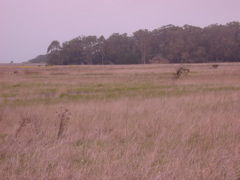 DSCN1782.JPG
