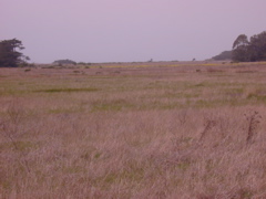 DSCN1783.JPG