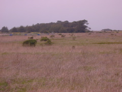 DSCN1784.JPG