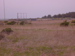 DSCN1785.JPG